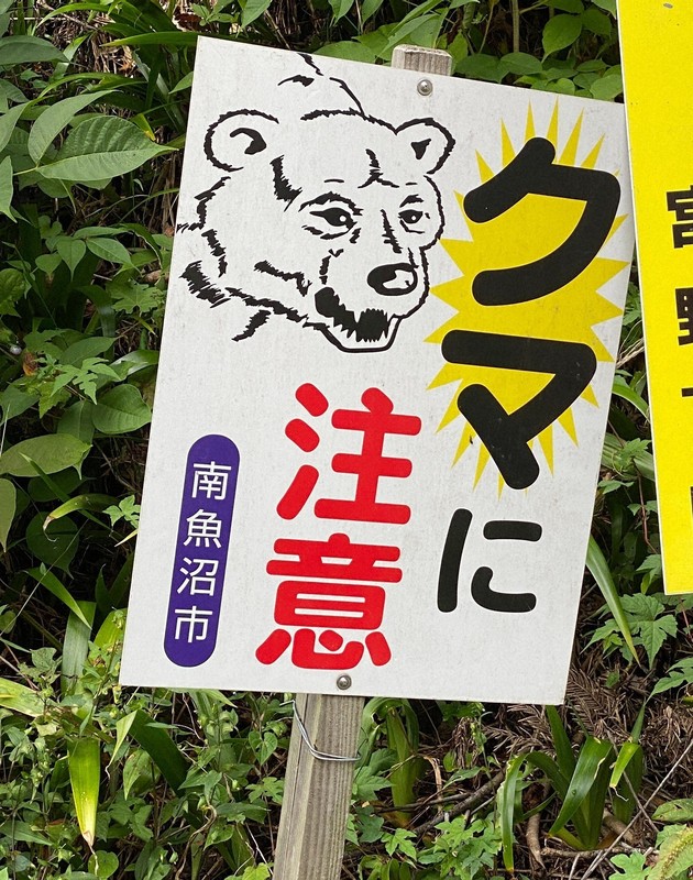 ヒグマ駆除「不安なくできる仕組みを」　北海道と猟友会、国に要望へ