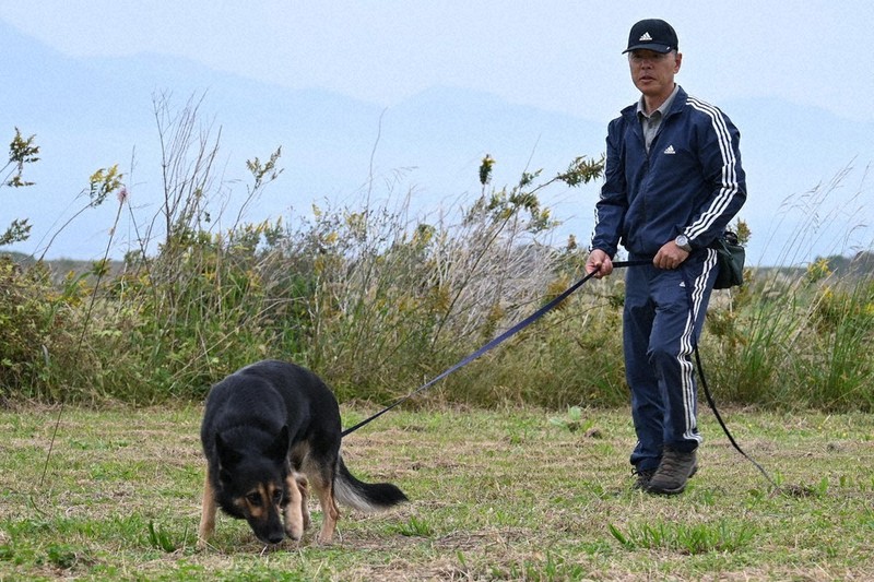 属託警察犬出動!　認知症の行方不明者発見へ　訓練に励む7頭　長崎