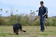 属託警察犬出動!　認知症の行方不明者発見へ　訓練に励む7頭　長崎