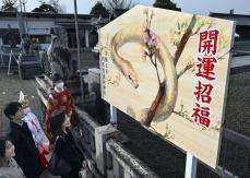 大きなヘビの絵馬をお披露目　学生がデザイン担当　山形県護国神社