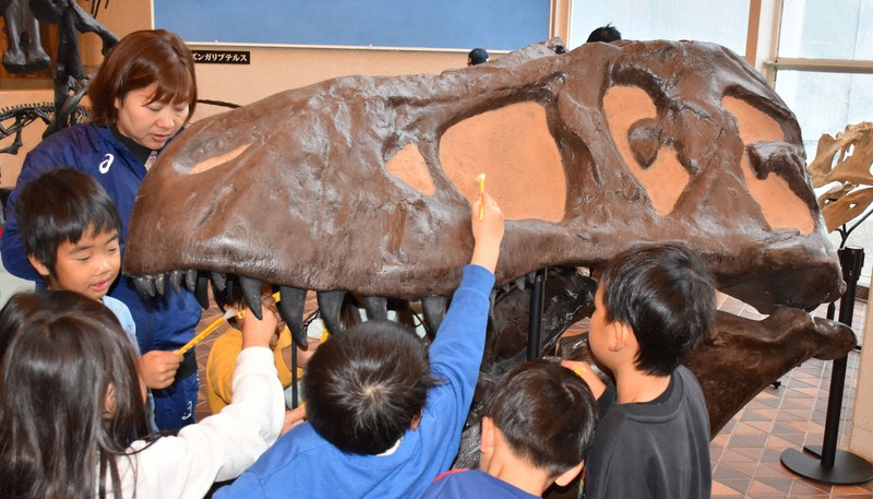 恐竜にも気持ちのいい新年を　岐阜県博物館で園児らがすす払い