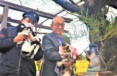 和歌山「たま神社」新年準備　現猫駅長が来年の安全運行誓う