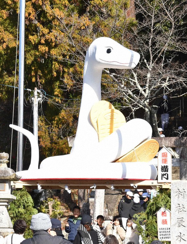 金の小判抱えた「ジャンボ白蛇」　地元住民の手作り　三重・辰水神社