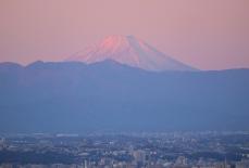 初日の出、2025年の願い込め　渋谷スカイで鑑賞会