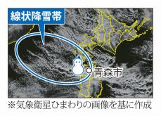 青森の記録的大雪、原因は線状降水帯ではなく　聞き慣れない別の帯