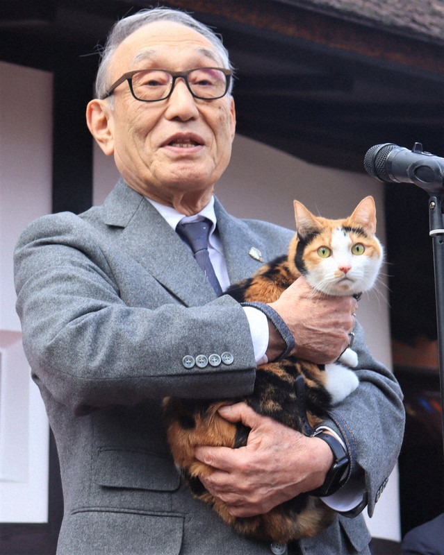 新たな猫「ごたま」が加入　貴志川線ふく駅長に就任　和歌山電鉄