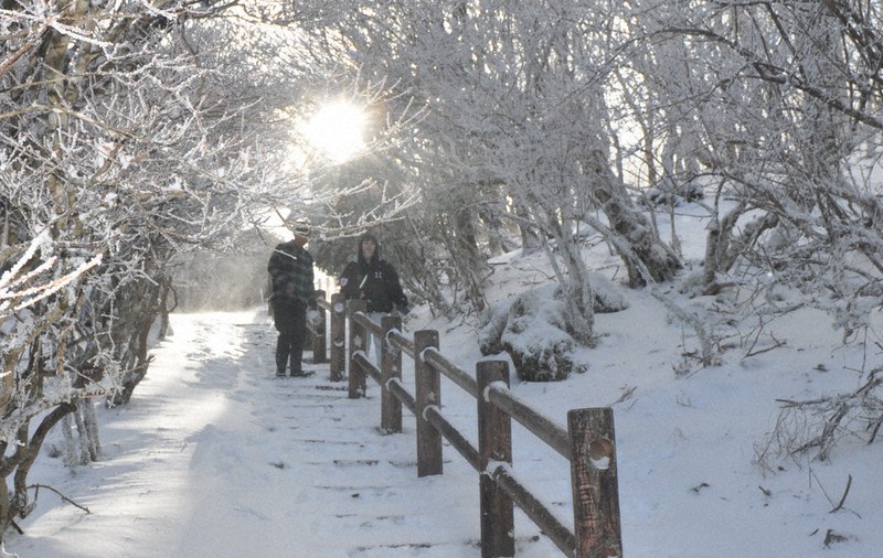 九州も寒気強まる　大分・別府の鶴見岳で霧氷　平野部でも積雪予想