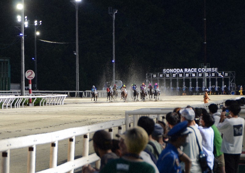 兵庫・尼崎の競馬場で馬が暴走、男性騎手が重体　他の2人も軽傷