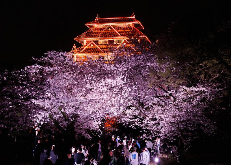 福岡城「天守閣」25年春もライトアップ　3月のさくらまつり終了まで