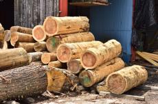 ウッドショックとは｜木材価格高騰の原因とそれによる影響について解説