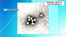 手足口病　2週ぶり減少も流行発生警報が出ている地域も　鹿児島