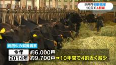 肉用牛の飼養農家が10年間で約4割減…百条委員会設置の行方は　鹿児島