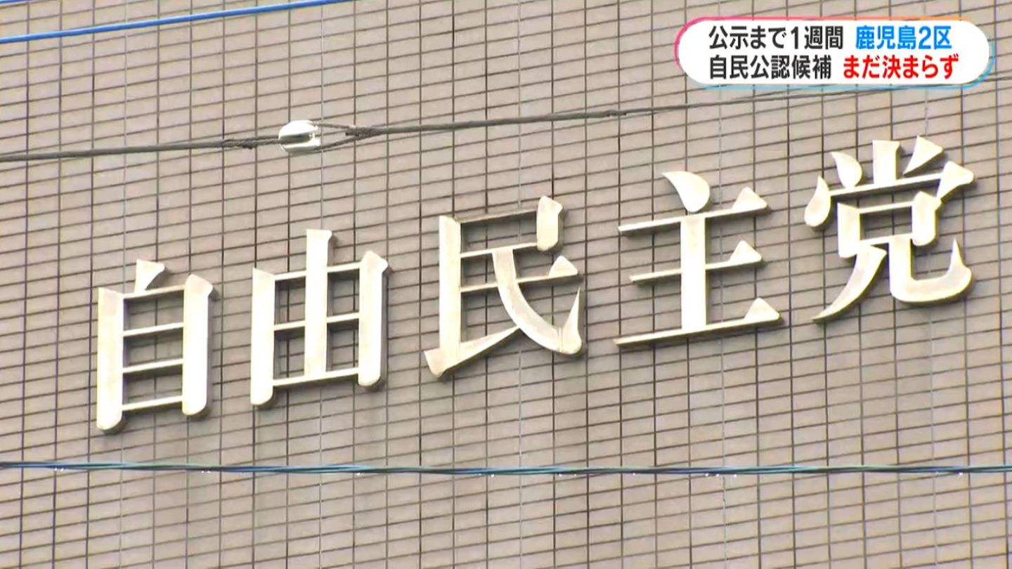 衆院選鹿児島2区　自民県連公認推薦　申請期限の7日正午までに決まらず