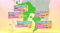 鹿児島でコスモスが見ごろに　上場高原は満開、鹿児島市は咲き始め