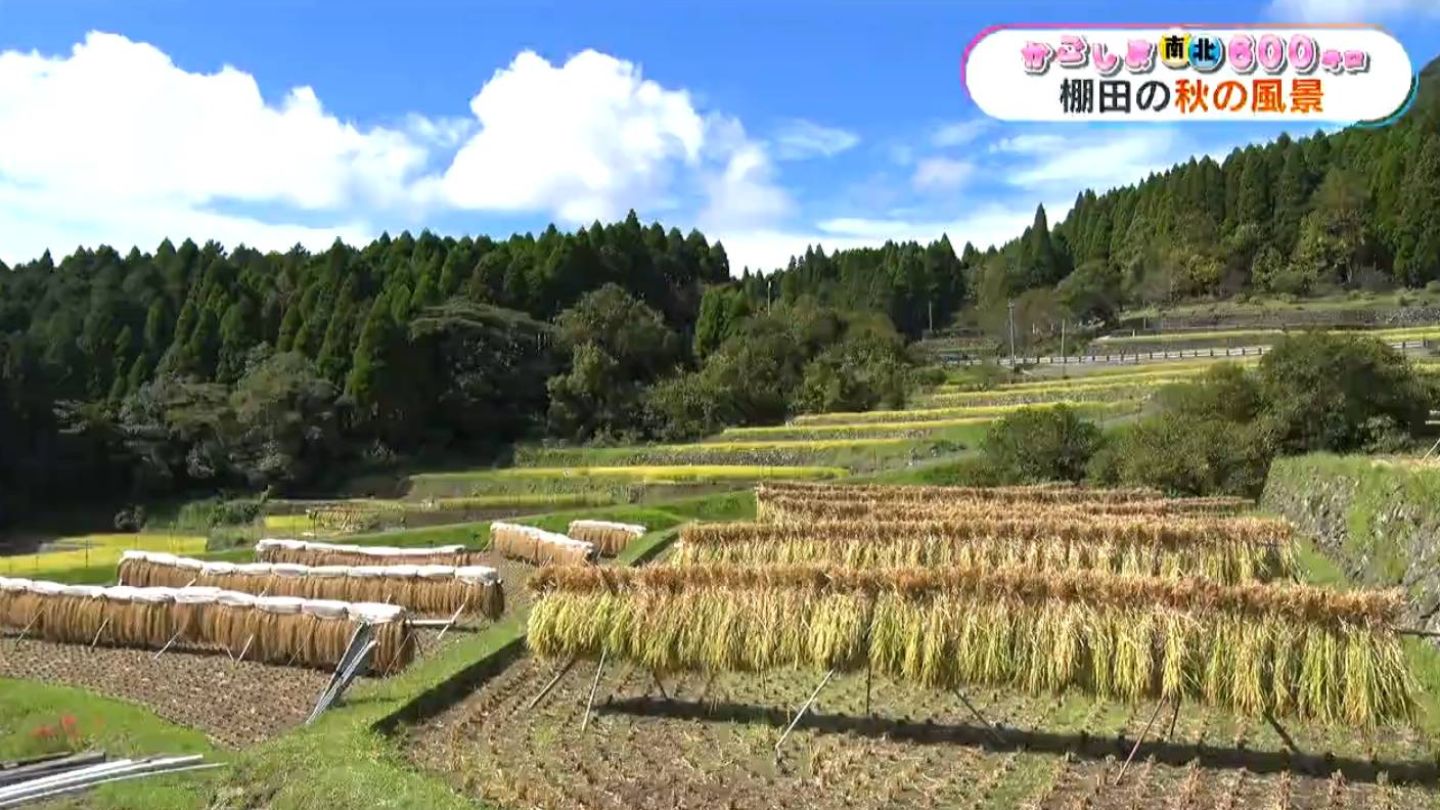 かごしま南北600キロ　昔ながらの棚田の風景