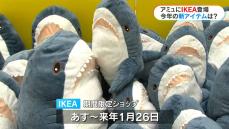 人気のホットドッグが県内初上陸　IKEAの期間限定ショップが2度目の開催