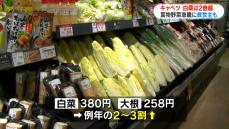 寒いとおいしい鍋だけど…野菜高騰でピンチ！　救世主は？　鹿児島