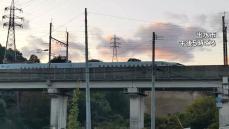 九州新幹線・出水～川内の間で列車が倒木と衝突　運転見合わせ　鹿児島