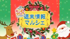 【鹿児島】週末イベント情報【2024年12月14日～12月15日】