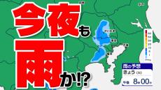 【東京 ２日続けて雨かも】埼玉・神奈川・千葉・東京に雷注意報発表  突然の雨に注意【３０分ごとの雨のシミュレーション】