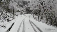 寒気流れ込む　紫尾山では雪　鹿児島