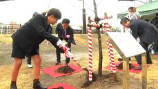 大阪の小学生が甲突川沿いに桜を植樹　鹿児島出身の創設者・高島鞆之助が縁　26年前から続く修学旅行