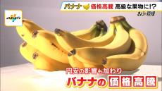 「ちょっともう限界」バナナ１．５倍に高騰…１日１５ｋｇ仕入れる果物店で“大きな痛手”『異常気象の不作』『円安』で拍車