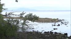 「勝手につくった」琵琶湖に“謎の道”　盛り土した人物が名乗り出るも『造成時期』や『目的』は不明