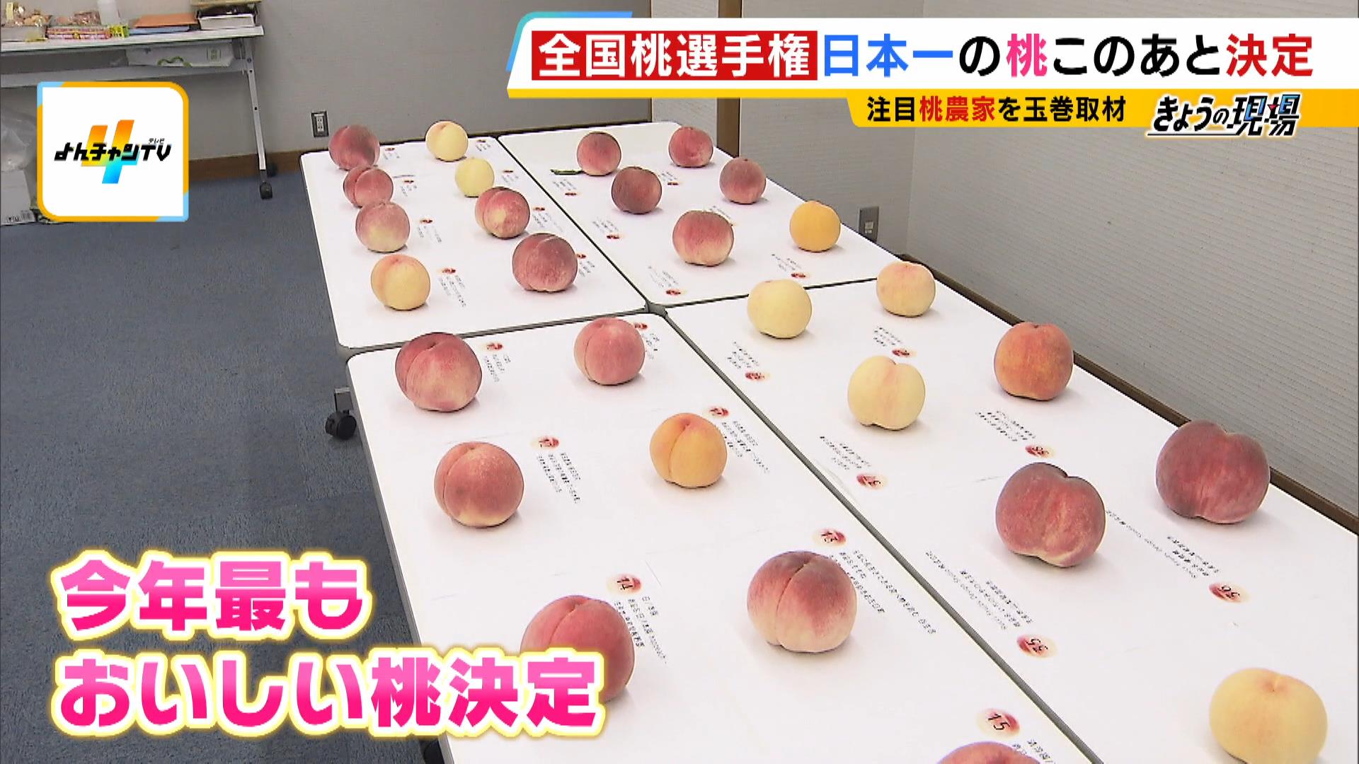 日本一おいしい桃を決める全国桃選手権！野菜ソムリエたちが審査　４６品種から選ばれた最高金賞は…