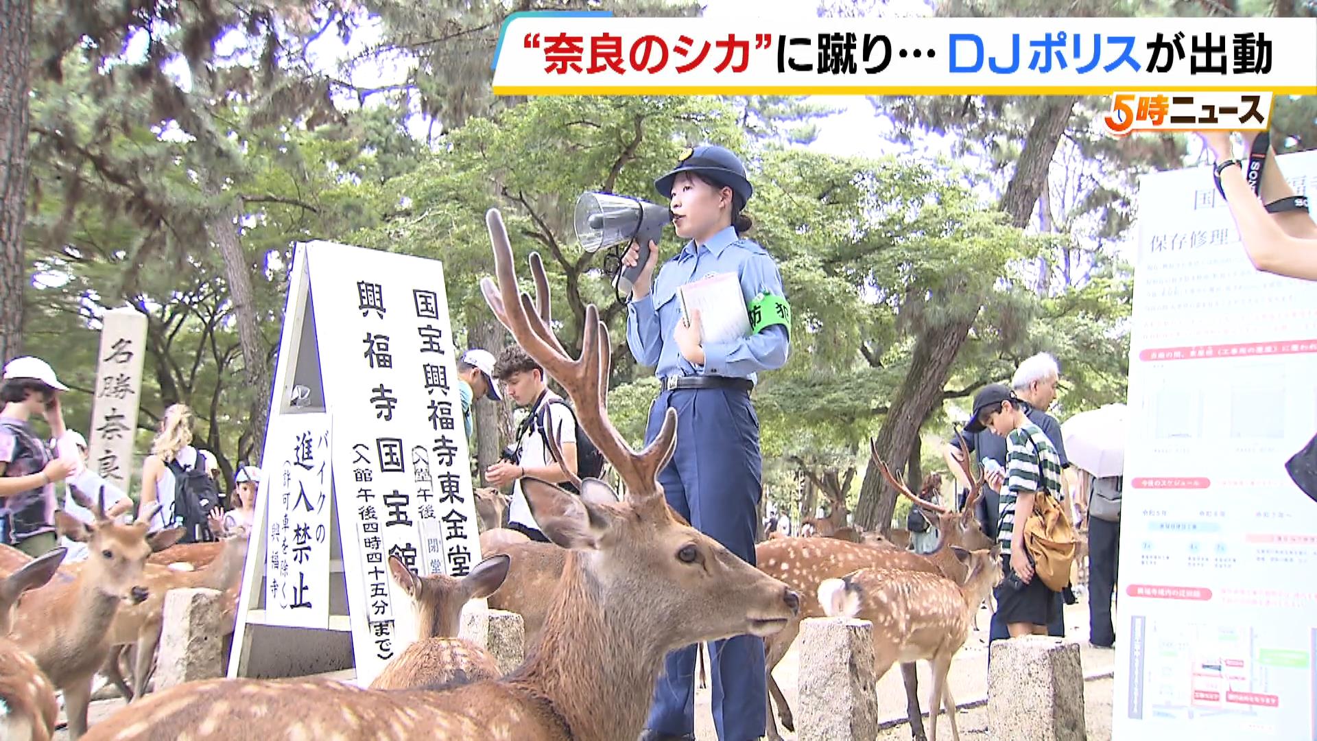 “奈良のシカを蹴り上げビンタ”問題行為に観光客も「ひどい行為」「シカさんが痛そう」　ＤＪポリスが多言語で注意喚起