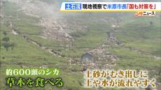 「国も現場に来て対策の判断をしてほしい」米原市の土石流めぐり市長が伊吹山を視察　シカによる食害で土や水が流れやすくなったか