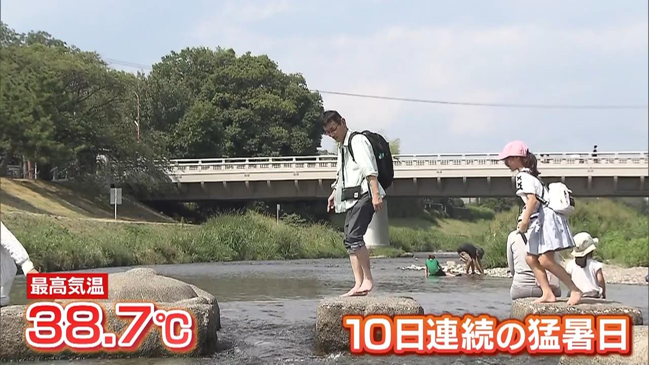 「とけちゃいそう」京都市の最高気温は３８．７℃…１０日連続の猛暑日　川で水遊びする人たちの姿も