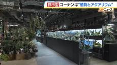 コーナンの“都市型店舗”が梅田に登場！植物やアクアリウムに特化した店づくり　「グラングリーン大阪」内に９月６日オープン