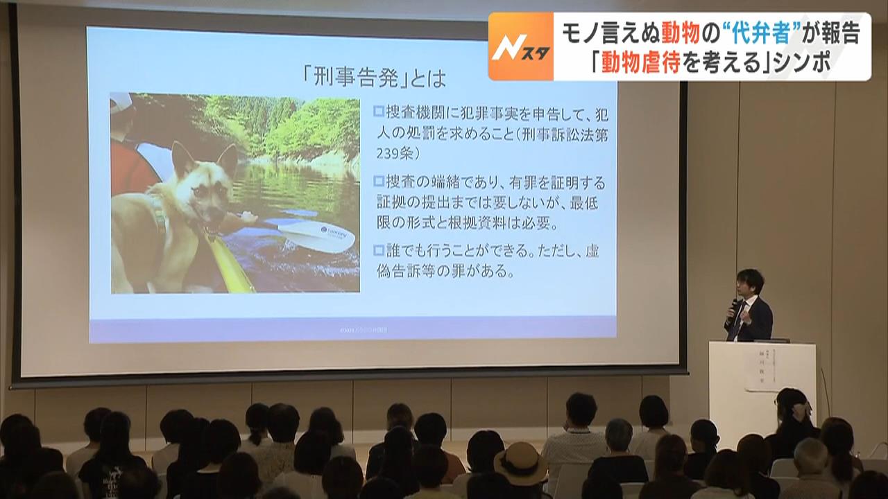 動物虐待の告発も行う『どうぶつ弁護団』がシンポジウム開催　動物愛護団体の理事長務める杉本彩さんも講演　神戸市