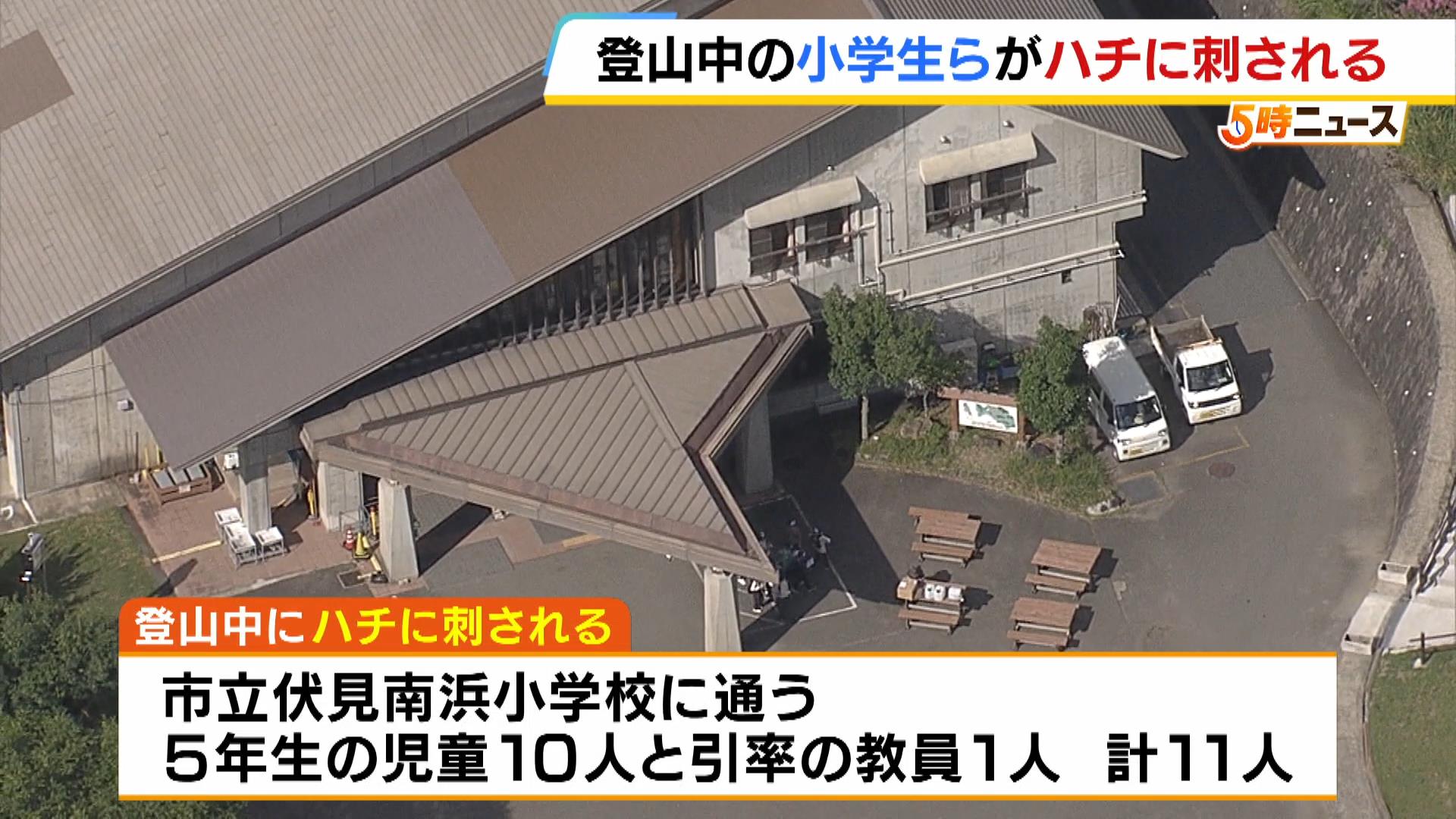 宿泊学習で登山中…児童・教員１１人がハチに刺される　重症者なし　京都・左京区