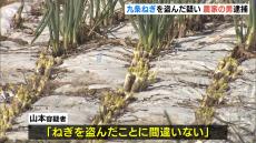 「九条ねぎ」２１６ｋｇ盗んだ疑いでねぎ農家の男逮捕…防犯カメラに犯行の一部映る　周辺では九条ねぎ３ｔが８回にわたり盗まれる被害