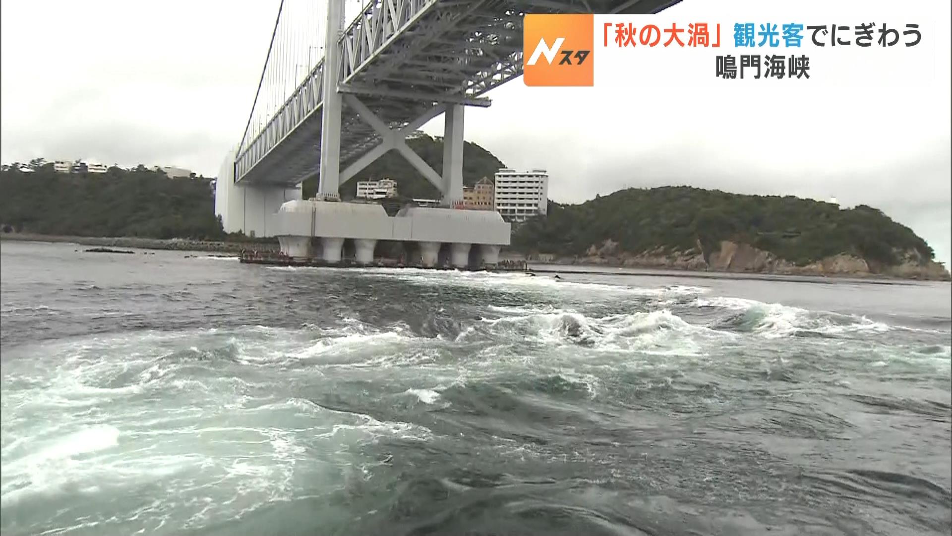 １年で最大の渦潮『秋の大渦』に観光客が歓声「５ｍくらいあった」　鳴門海峡