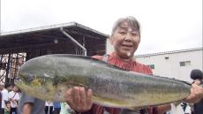 「魚まつり」で本マグロの解体ショーや海の幸を販売　「はいからさん」らが“近江商人”発祥の地を散策【近畿のイベント】