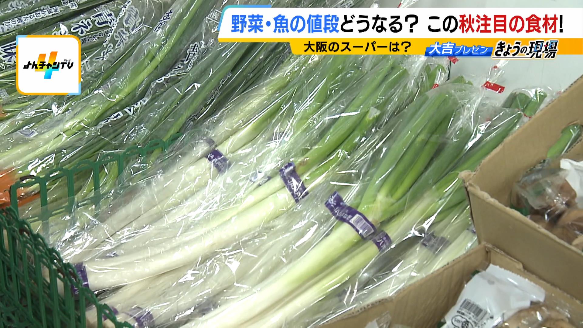 「野菜は今、安いものがない」白菜１玉２９８円、白ネギ１束２４８円　　一方で「サンマ」や「カツオ」などの魚は狙い目！？