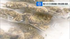 “闇バイト”に応募し大麻約３８０ｇを密輸か　「金欠になったので応募した」２４歳の男を逮捕・起訴