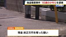 【強盗】１６歳の少年２人を逮捕　男性を棒のようなもので殴り現金奪ったか　大阪・東大阪市