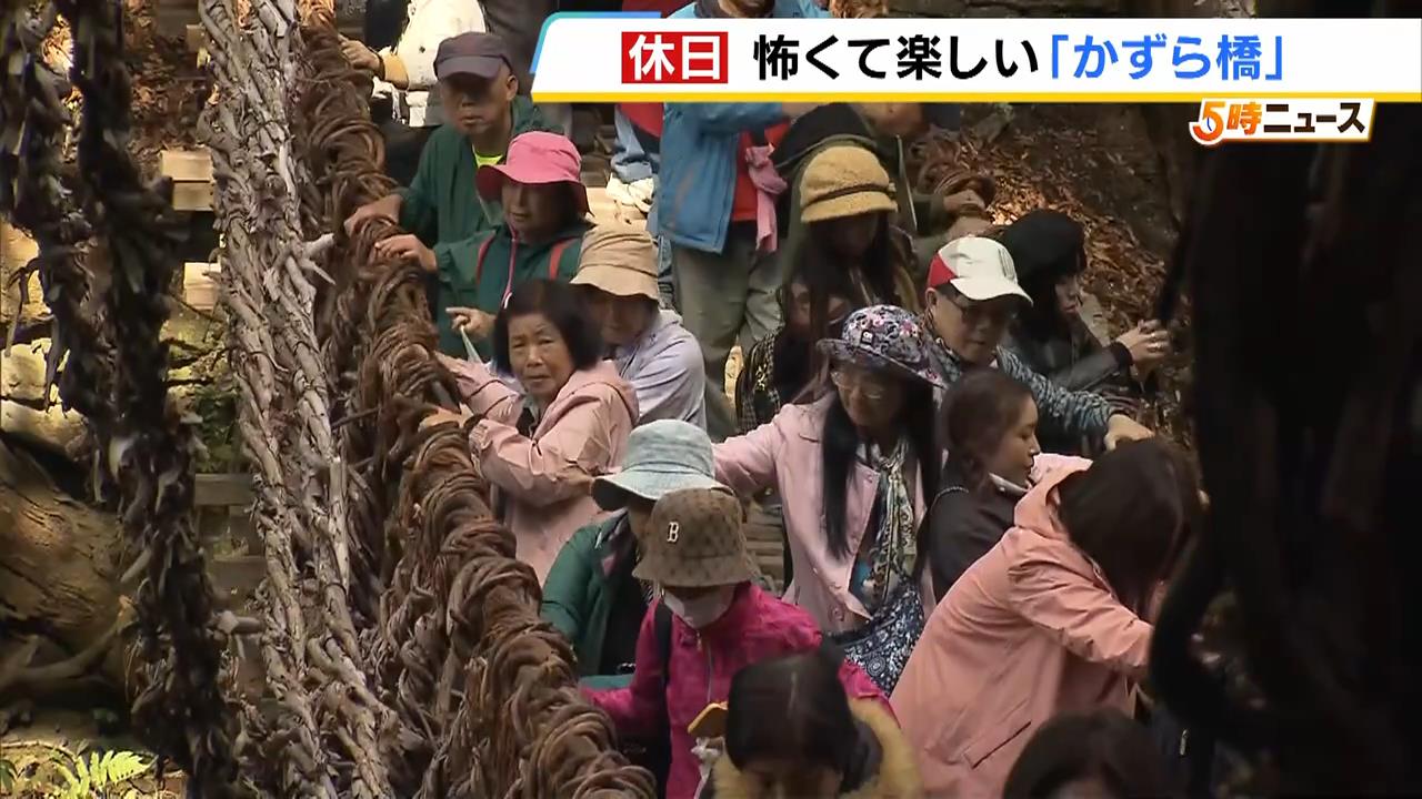 【３連休】ゆらゆら揺れてスリリング！植物を編んで作られた『祖谷かずら橋』は大勢の人でにぎわう　徳島・三好市