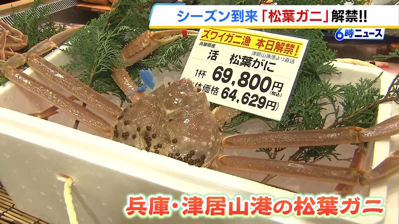 「待ちわびてました」冬の味覚『松葉ガニ』が解禁！初セリでは１杯２８０万円！　阪急うめだ本店にも直送のカニ並ぶ　兵庫・新温泉町