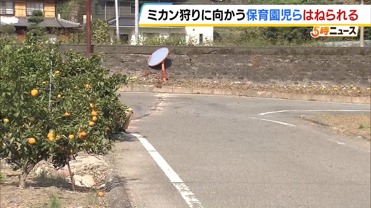 保育園児２人と保育士が車にはねられる…園児１人が右足骨折の重傷　運転の５３歳女を現行犯逮捕　徳島・勝浦町