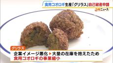 「タンパク質危機に貢献したかったが力及ばず」　『食用コオロギ』扱うベンチャー企業が自己破産申請　負債総額は１億５０００万円あまり