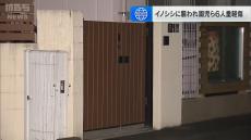 門を出たら突然イノシシが体当たり…こども園の３歳児ら次々襲われる　５人重軽傷　直前に６０代男性襲われケガ　イノシシは殺処分　兵庫・姫路市