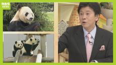 『最高の外交官』中国のパンダ外交から見える思惑「日本がパンダが欲しいとなったら、もれなく習近平国家主席が来る」武田一顕さんに聞く現状
