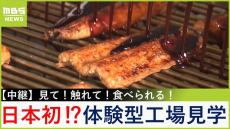 【中継】うなぎを見て！触れて！食べられる！体験型『うなぎ蒲焼き』工場見学ツアー　おいしい蒲焼きの選び方は？【福島暢啓の潜入！今昔探偵】