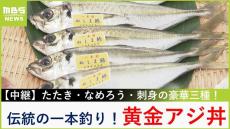 【中継】沼島産「黄金アジ」伝統の&quot;一本釣り漁&quot;で高鮮度！刺身・なめろう・たたきの豪華三種丼【川地洋平の最旬！丼マン】