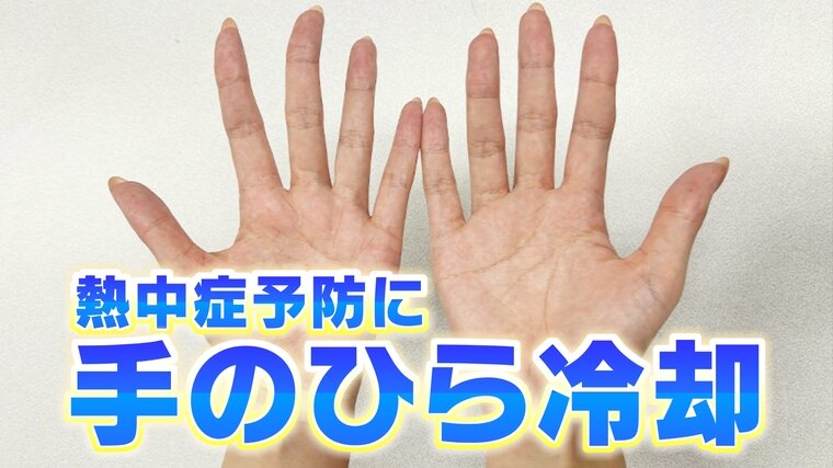 40℃超が続出...8月は猛暑の&quot;ヤマ場&quot;となるところも... 熱中症対策に効果的な「手のひら冷却」とは？専門家に聞いた【MBSお天気通信】